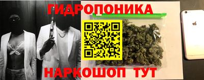 прущие крисы Пушкино