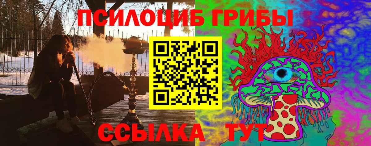 Кондопога  где купить наркоту  Вход с VPN  Псилоцибиновые грибы мицелий 